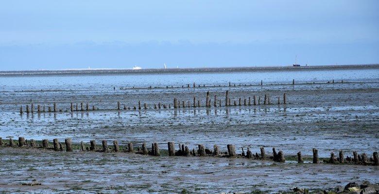 De Hocht Nes (Noardeast-Fryslan, Friesland) Exterior foto